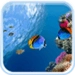 Ocean Fish Live Wallpaper Android-app-pictogram APK