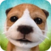 DogSimulator ícone do aplicativo Android APK