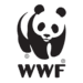 WWF Poradnik Android-alkalmazás ikonra APK
