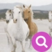 Purple - Find differences app icon APK