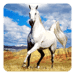Horse Live Wallpaper Android-alkalmazás ikonra APK