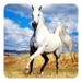 Horse Live Wallpaper Android-app-pictogram APK