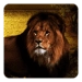 Lions Live Wallpaper Икона на приложението за Android APK