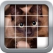 Icona dell'app Android SliderMania Animals APK