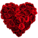 com.St.ValentineLiveWallpaper Android app icon APK