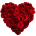 com.St.ValentineLiveWallpaper Android-app-pictogram APK