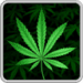 My Ganja Wallpaper Android uygulama simgesi APK