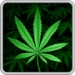 Icône de l'application Android My Ganja Wallpaper APK