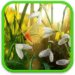 Icona dell'app Android Spring Live Wallpaper APK