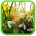 Spring Live Wallpaper Android-appikon APK