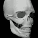 Bones 3D (Anatomy) Icono de la aplicación Android APK