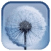 Icône de l'application Android Galaxy S3/S5 APK