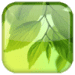 Icona dell'app Android Foglia APK