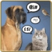 Икона апликације за Андроид Animal Translator APK