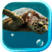 Черепахи море живые обои Икона на приложението за Android APK