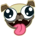 Pug Rapids Android app icon APK