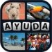 4 Fotos 1 Palabra (Ayuda) Икона на приложението за Android APK