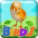 Birds 2048 app icon APK