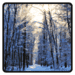 Winter Wallpaper Android app icon APK