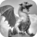 Choice of the Dragon app icon APK