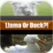 Икона апликације за Андроид LlamaOrDuckX APK