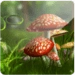 3D Mushroom Android app icon APK
