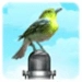 Icona dell'app Android Bird Sound & Picture APK