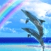 Dolphin☆Rainbow Trial Android-sovelluskuvake APK
