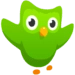 Icona dell'app Android Duolingo APK