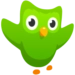Icône de l'application Android Duolingo APK