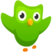 Duolingo app icon APK