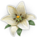 Ikona aplikace Inner Garden pro Android APK