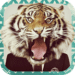 AnimalFace Icono de la aplicación Android APK