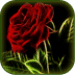 3D霓虹花 Android app icon APK