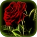 3D霓虹花 Android-alkalmazás ikonra APK