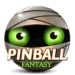 Pinball Fantasy HD Android app icon APK