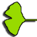 com.ginkgosoft.ad.parrot Icono de la aplicación Android APK