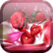 القلوب والورود خلفيات حية Android-alkalmazás ikonra APK