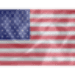 United States Constitution Android-alkalmazás ikonra APK