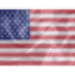 United States Constitution Android-sovelluskuvake APK