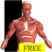 Visual Anatomy Free Icono de la aplicación Android APK