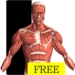 Visual Anatomy Free Android-app-pictogram APK