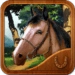 Icône de l'application Android Run Horse Run APK