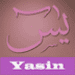 Icône de l'application Android Yasin Free APK