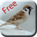 Bird Sounds & Ringtones ícone do aplicativo Android APK