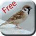 Икона апликације за Андроид Bird Sounds & Ringtones APK