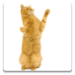 Dancing Cat Icono de la aplicación Android APK