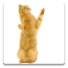 Dancing Cat Android-sovelluskuvake APK