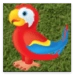 Icône de l'application Android Talking Parrots APK