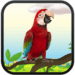 Talking Parrot app icon APK